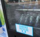 Fotoreportaż  z XI Międzynarodowych Targów Fermy Bydła