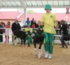 Mali hodowcy Sielinko 2012 - 14