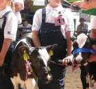 Młody Hodowca - Szepietowo 2012 - 62