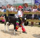 Konkurs Młodego Hodowcy - 18