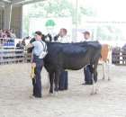 Bydło - Szepietowo 2012 XIX Regionalna Wystawa Zwierząt Hodowlanych - 80