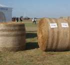 Zdj. - 109 - TAMA POLSKA SP. Z O.O.