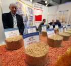 Polagra Premiery - 20