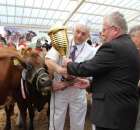 VII Ogólnopolska Wystawa Bydła Hodowlanego - 64