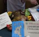 XXII Targi Rolniczo-Ogrodnicze Kościerzyn 2012 - 7