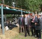 XX Targi Rolnicze Lubniewice