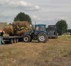 załadunek bel siana na tira 