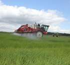 Zielone Agro Show Kąkolewo - Polskie Zboża  - 131