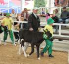 Mali hodowcy Sielinko 2012 - 28