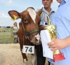 Nagordy dla superchampionów i championów  - 61