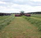 Pokazy Maszyn Polskie Zboża Zielone Agroshow 2012  - 54