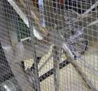 Fotoreportaż  z XI Międzynarodowych Targów Fermy Bydła