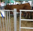 Relacja Foto Agro-Tech Minikowo 2012 - 62