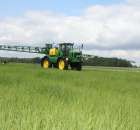 Zielone Agro Show Kąkolewo - Polskie Zboża  - 42