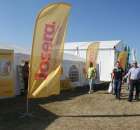 Zdj. - 454 - JOSERA POLSKA Sp. z o.o.