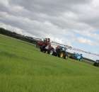 Zielone Agro Show Kąkolewo - Polskie Zboża  - 115