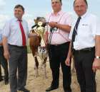 Nagordy dla superchampionów i championów  - 24