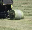 Pokaz maszyn zielonkowych - Opolagra 2012 - 50