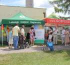 Festiwal Wieprzowiny w Bełżycach - 3