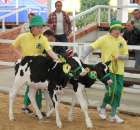 Mali hodowcy Sielinko 2012 - 29