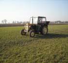 Ursus c330M w akcji Saletrzany atak czyli Siew nawozu 2012