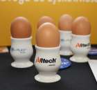 Altech konferencja - 1