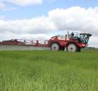 Zielone Agro Show Kąkolewo - Polskie Zboża  - 128