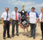 Nagordy dla superchampionów i championów  - 2