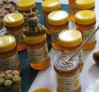 XXII Targi Rolniczo-Ogrodnicze Kościerzyn 2012 - 5