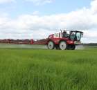 Zielone Agro Show Kąkolewo - Polskie Zboża  - 127