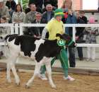 Mali hodowcy Sielinko 2012 - 6