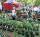 XXII Targi Rolniczo-Ogrodnicze Kościerzyn 2012 - 118