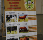 Foto reportaż z Międzynarodowych Targów Hodowli Zwierząt FARMA