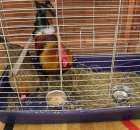 Fotoreportaż z XIV Spotkań Tradycji Wielkanocnych Ziemi Kłodzkiej