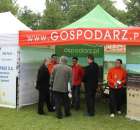 Pierwsze dni indyka w Koźminku