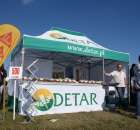 Zdj. - 19 DETAR M.Kusek Spółka Jawna 