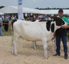 Nagordy dla superchampionów i championów  - 41