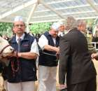 VII Ogólnopolska Wystawa Bydła Hodowlanego - 27