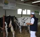 VII Ogólnopolska Wystawa Bydła Hodowlanego - 70