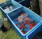 XX Targi Rolnicze Lubniewice 