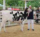 VII Ogólnopolska Wystawa Bydła Hodowlanego - 29