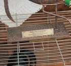 Fotoreportaż z XIV Spotkań Tradycji Wielkanocnych Ziemi Kłodzkiej