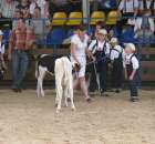 Młody Hodowca - Szepietowo 2012 - 32