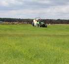 Zielone Agro Show Kąkolewo - Polskie Zboża  - 77