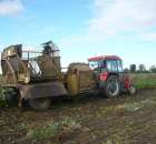 Zetor 5211 i Neptun w akcji;p