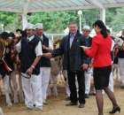 Prezentacja Championów na VII Ogólnopolskiej Wystawie Bydła Hodowlanego w Sielinku 2012 - 38