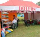 DOLFOS - Szepietowo 2012 - 2