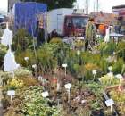 Fotoreportaż z XX Agro-Targów 2011 w Starej Łubiance