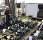 Fotoreportaż z XX Agro-Targów 2011 w Starej Łubiance