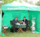 Pierwsze dni indyka w Koźminku